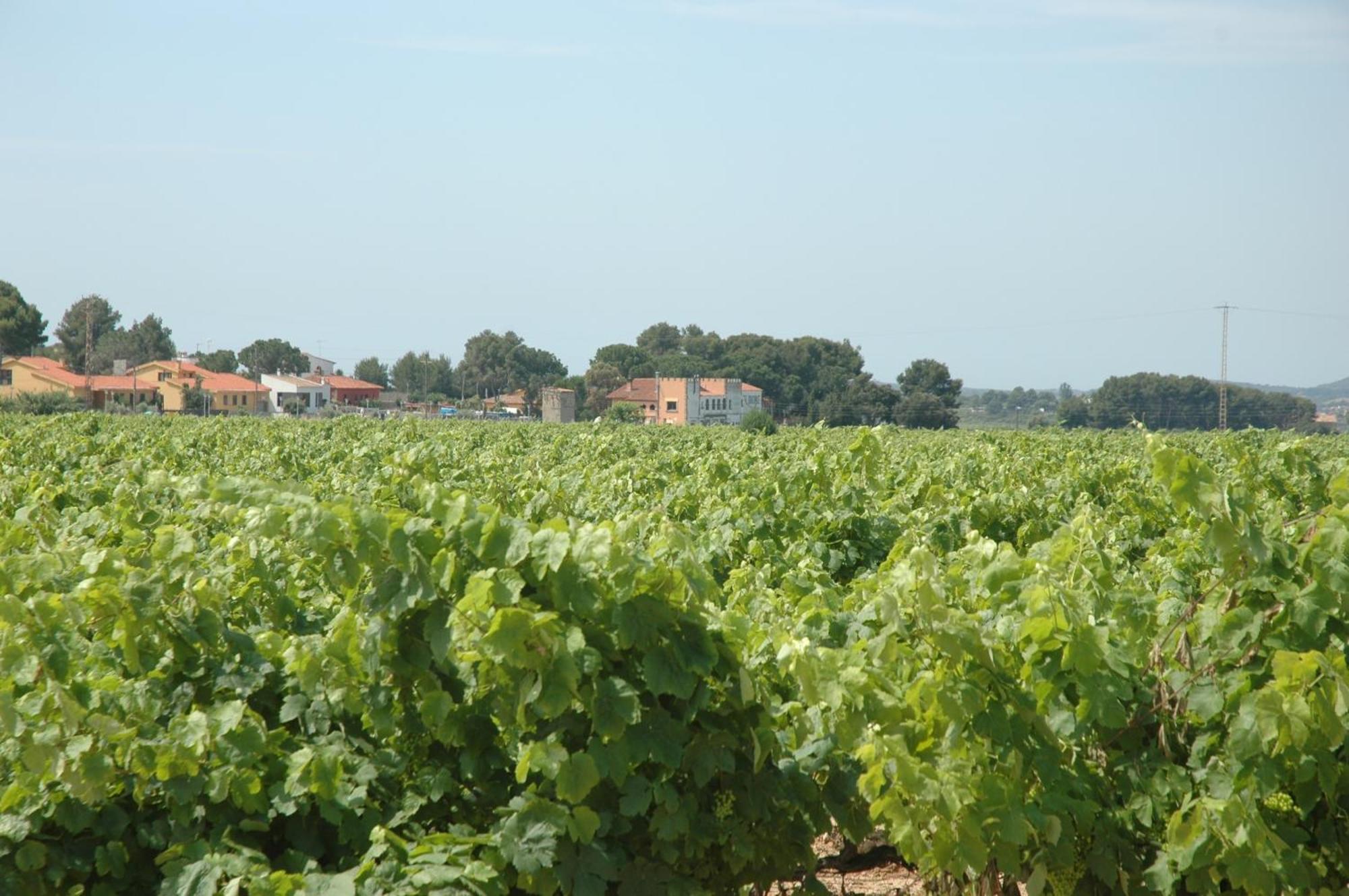 Hotel Restaurant El Bosc Banyeres del Penedes Exterior photo